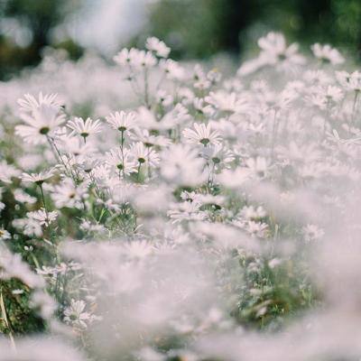 皇冠体育安卓app