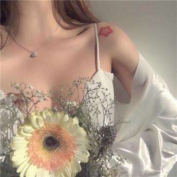 狗万官网手机app下载